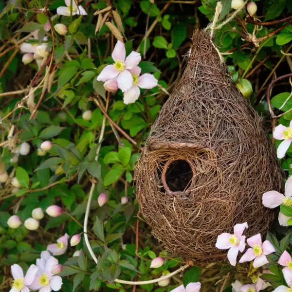 Giant Roost Nest Pocket