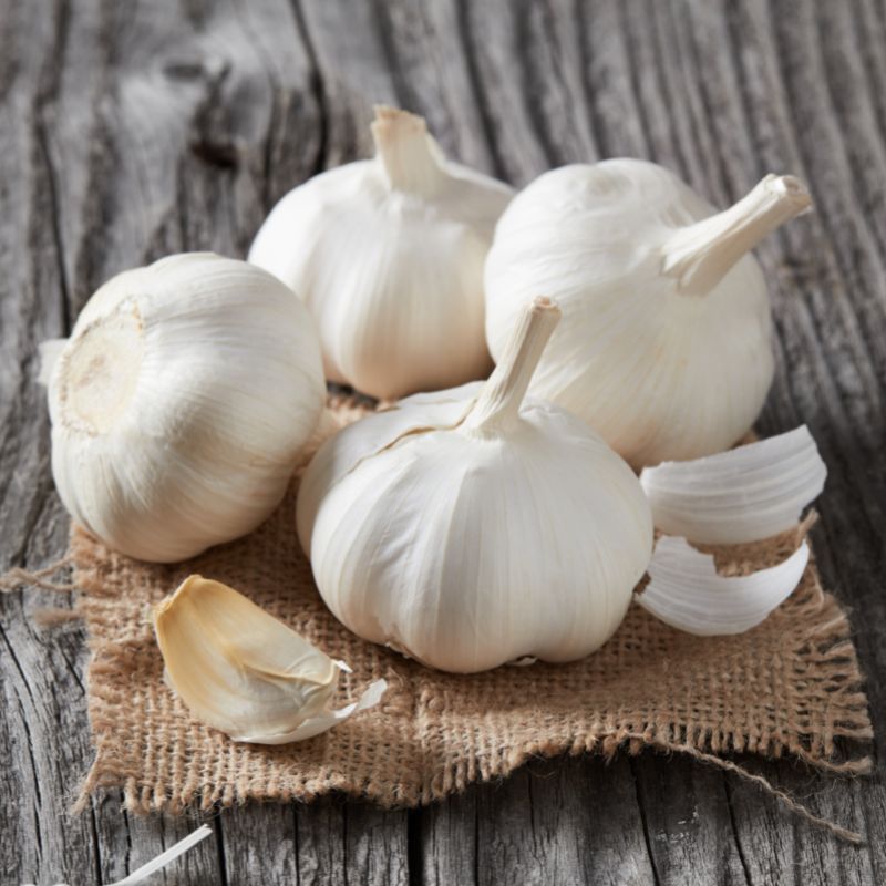 garlic