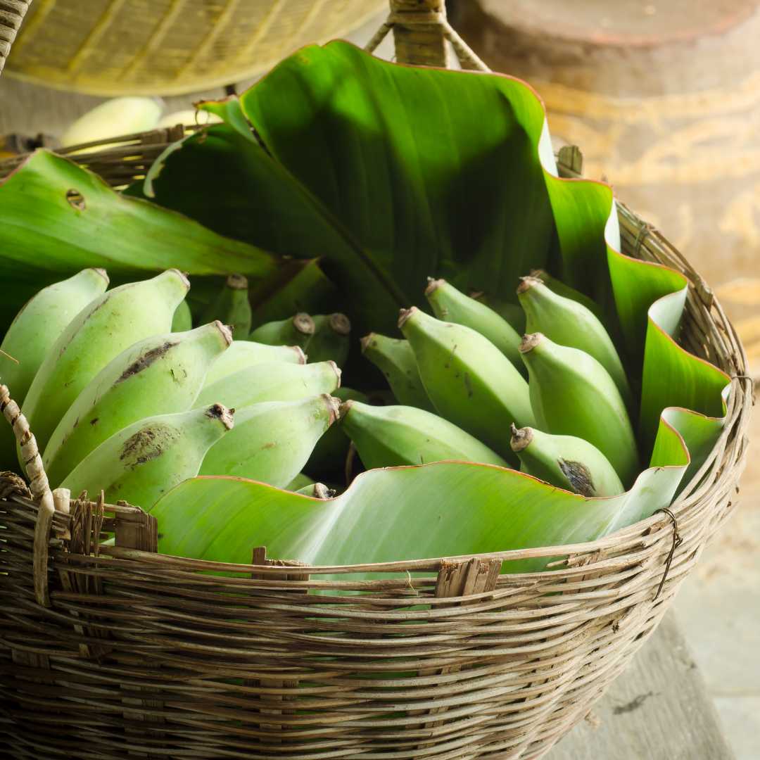 green banana Caribbean fruit bunch