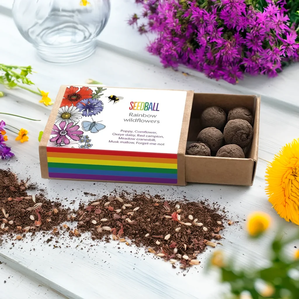 Pride Rainbow Wildflower Seedball Box