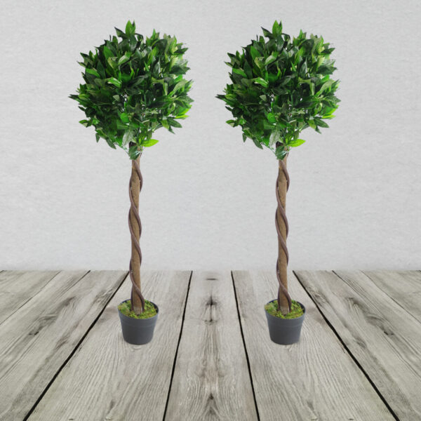 Plain Pair Of Stem Artificial Topiary Bay Laurel Ball Trees