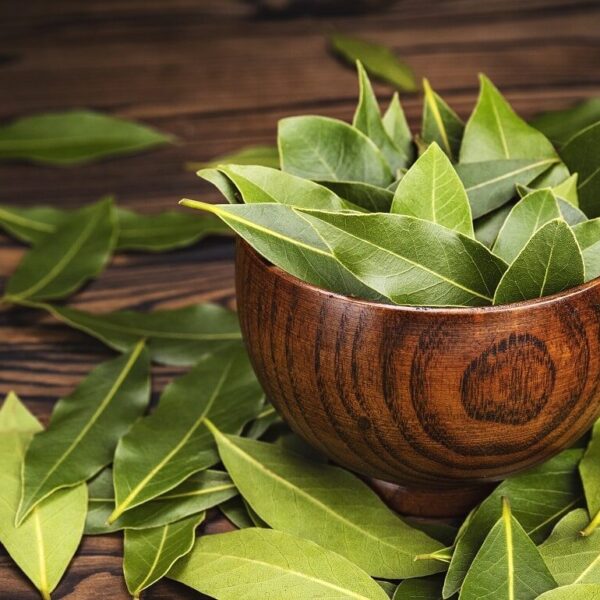 The Black Farmer Bay Leaves