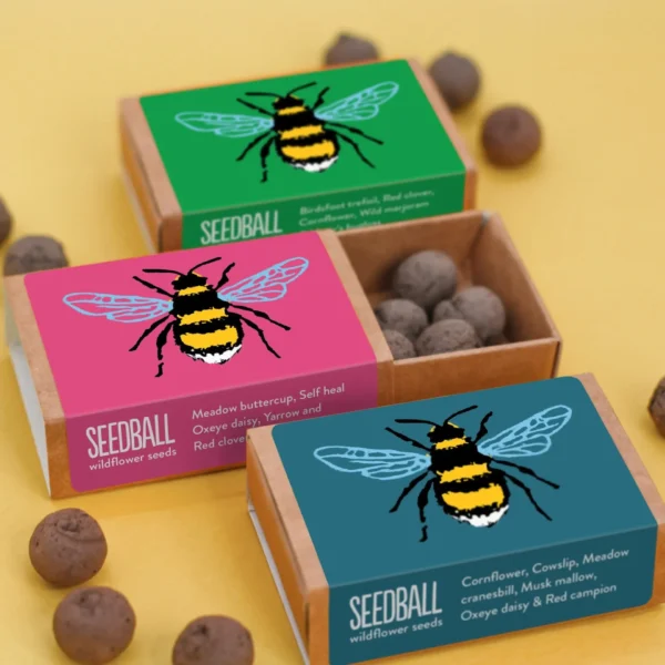Bee-Friendly Wildflower Seed Box