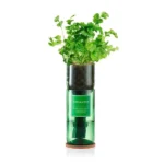 Eco-Friendly Hydro Herb Kit – Coriander (2)